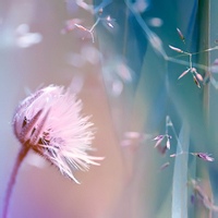 北极星光的头像-满久琦的个人网站