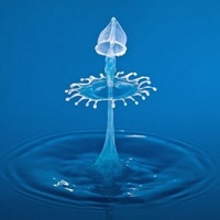 椒房的头像-满久琦的个人网站