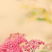 苍穹诅咒的头像-满久琦的个人网站