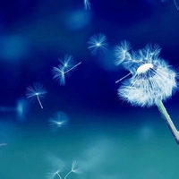 星野梦境的头像-满久琦的个人网站