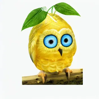 夜空寂寥的头像-满久琦的个人网站