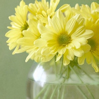 意识拓扑的探险家的头像-满久琦的个人网站