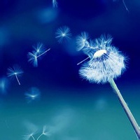 荒野的过客的头像-满久琦的个人网站