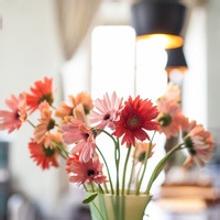 社交过滤器的头像-满久琦的个人网站