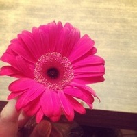 爱睡觉的哈密瓜的头像-满久琦的个人网站