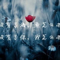 山间茶的头像-满久琦的个人网站