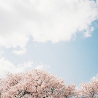 NetherMage的头像-满久琦的个人网站