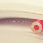 樱花落尽的头像-满久琦的个人网站