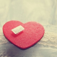 云雾茶香的头像-满久琦的个人网站