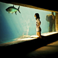 夜色深的头像-满久琦的个人网站